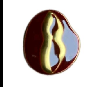 Schiaparelli  Brooch buttons